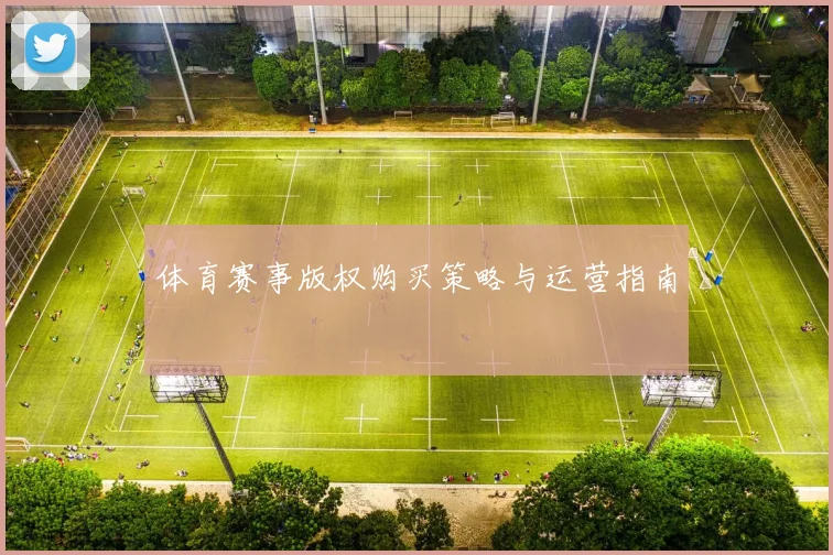 体育赛事版权购买策略与运营指南