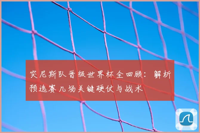 突尼斯队晋级世界杯全回顾：解析预选赛几场关键硬仗与战术