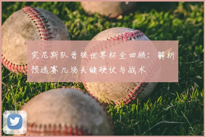 突尼斯队晋级世界杯全回顾：解析预选赛几场关键硬仗与战术