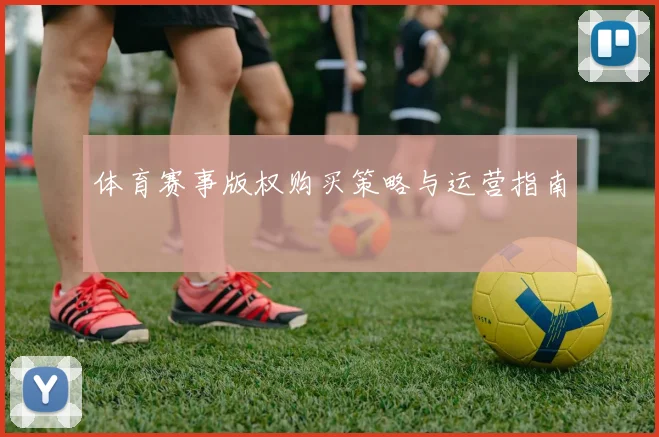 体育赛事版权购买策略与运营指南